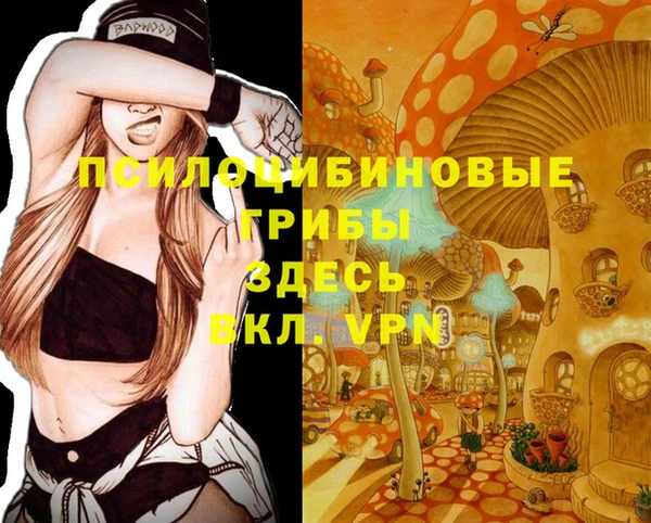 mdpv Балабаново