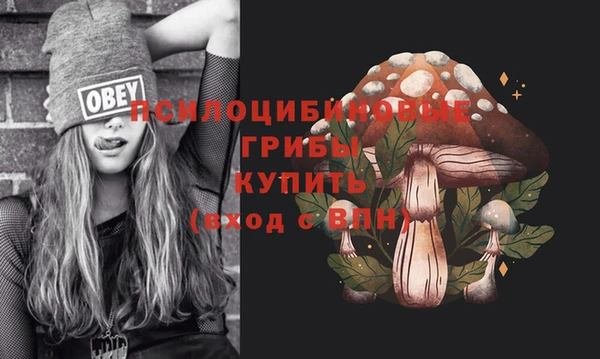 первитин Балахна