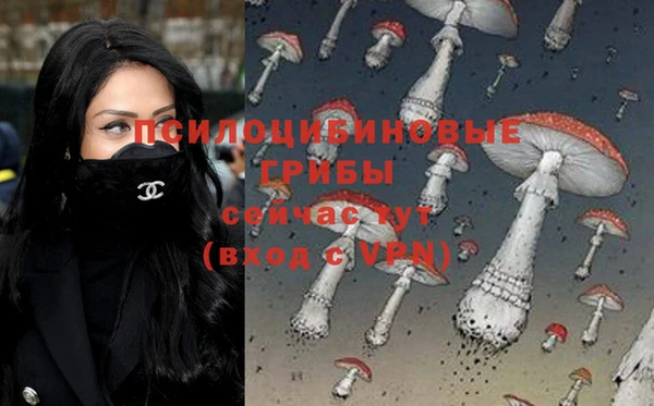 первитин Балахна