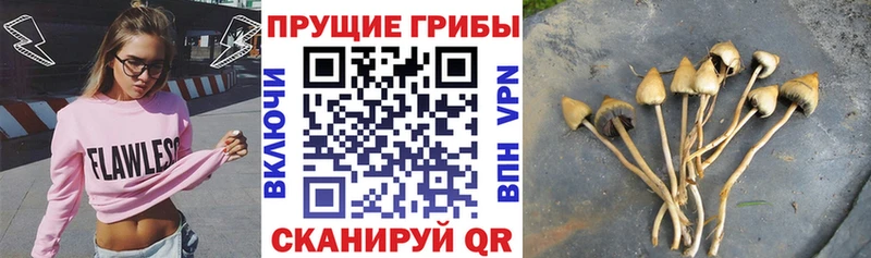 MEGA   дарк нет официальный сайт  Псилоцибиновые грибы мухоморы  Великие Луки 